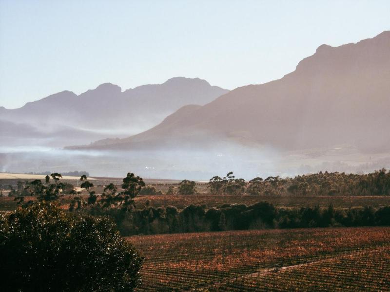 Visiting the South African&nbsp;winelands