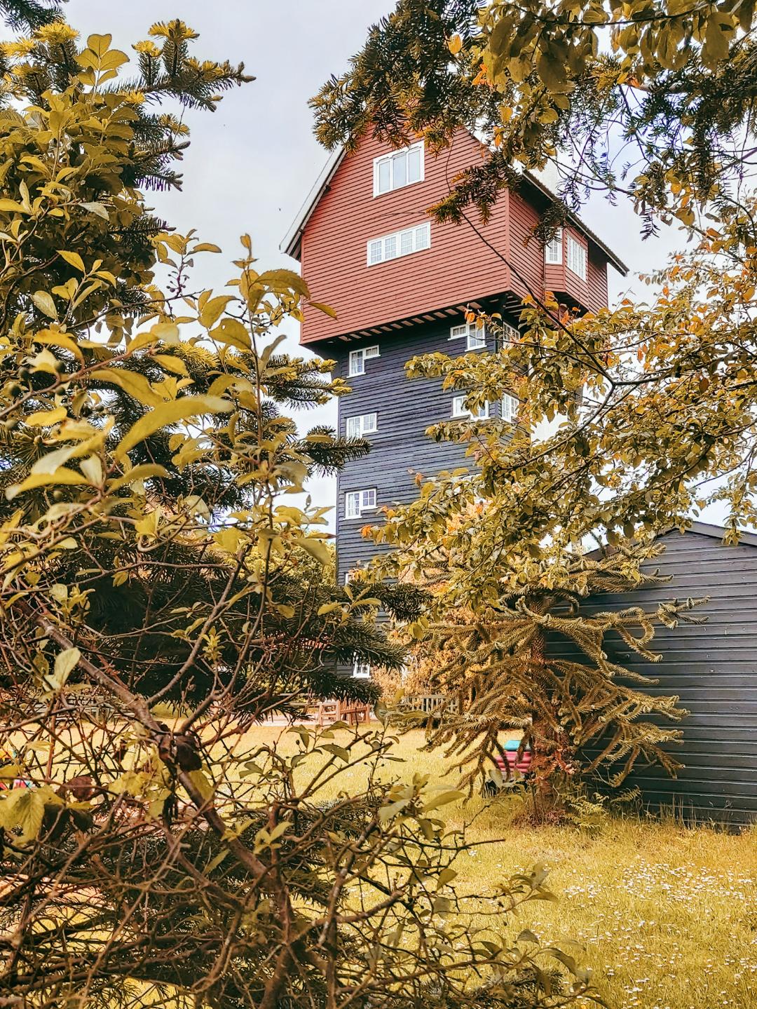 thumbnail-2021-06-06t222633-535-travelling-han