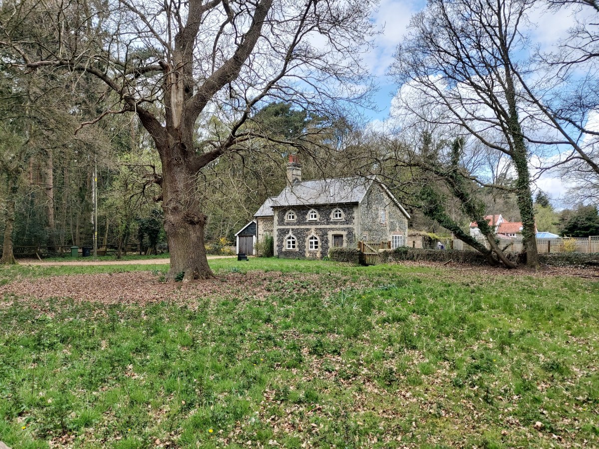 Exploring the Parks & Nature reserves of South&nbsp;Norfolk
