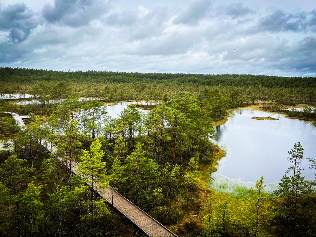 A Day in Lahemaa National Park,&nbsp;Estonia