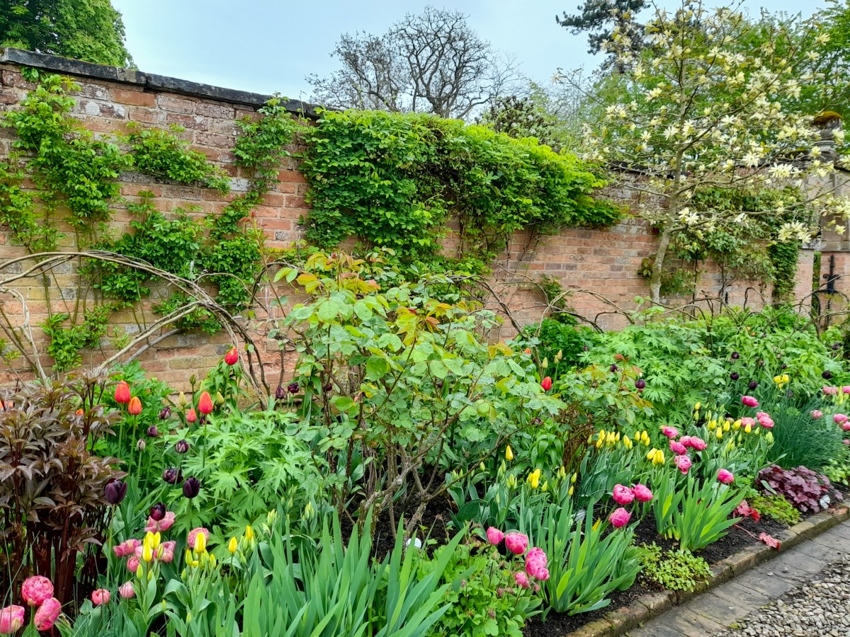 Morton Hall Gardens, An Annual Tulip&nbsp;Festival