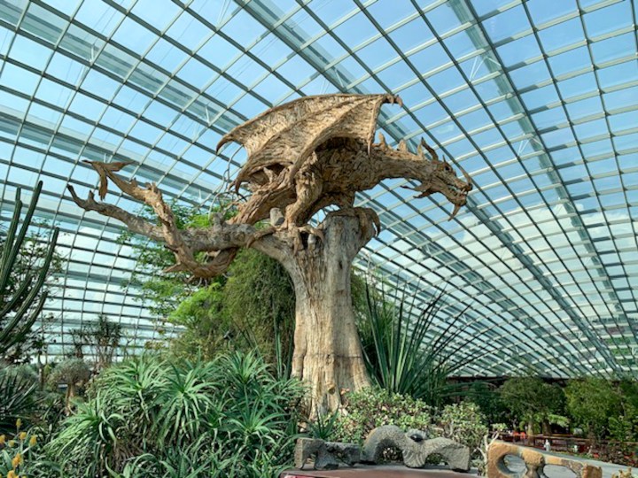 Flower Dome gardens by the bay