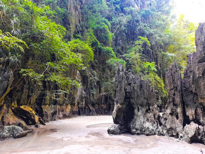Mangrove Cove Phang Nga Bay