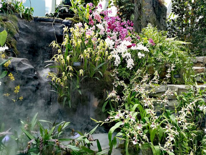 Cloud Dome Gardens by the Bay