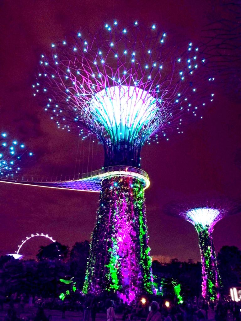 Supertree Grove Light Show