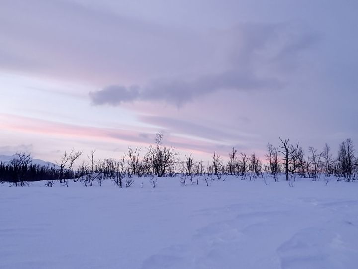 Tromso snowmobiling