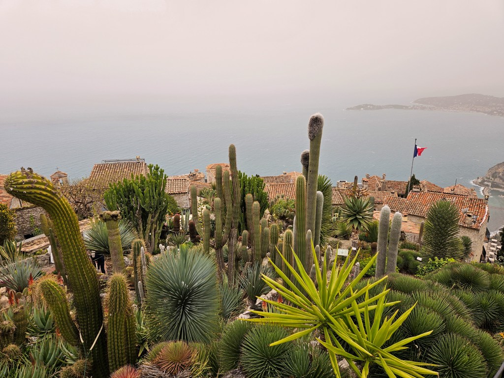 Jardin Exotique, Eze
