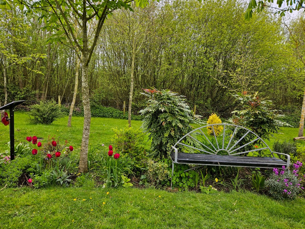 National Memorial Arboretum