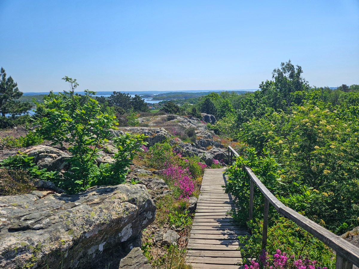 Brännö Island: A day exploring the Gothenburg&nbsp;Archipelago