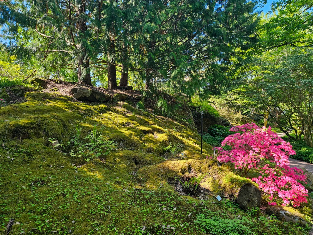 Gothenburg Botanical Garden: All you need to know before you&nbsp;visit