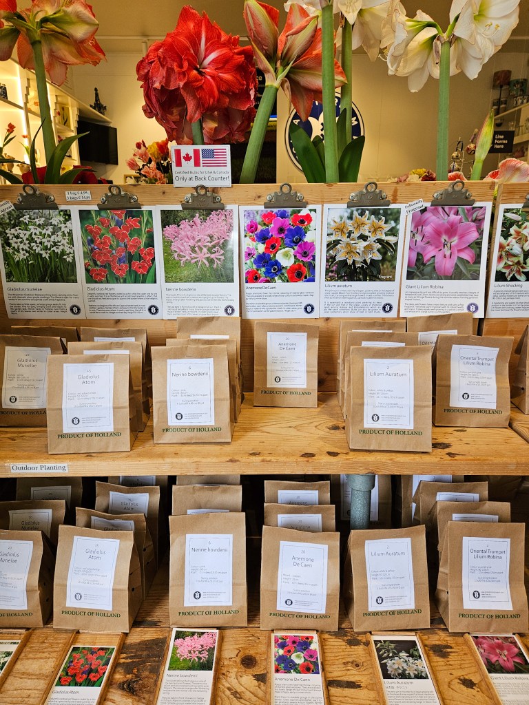 Amsterdam Tulip Museum