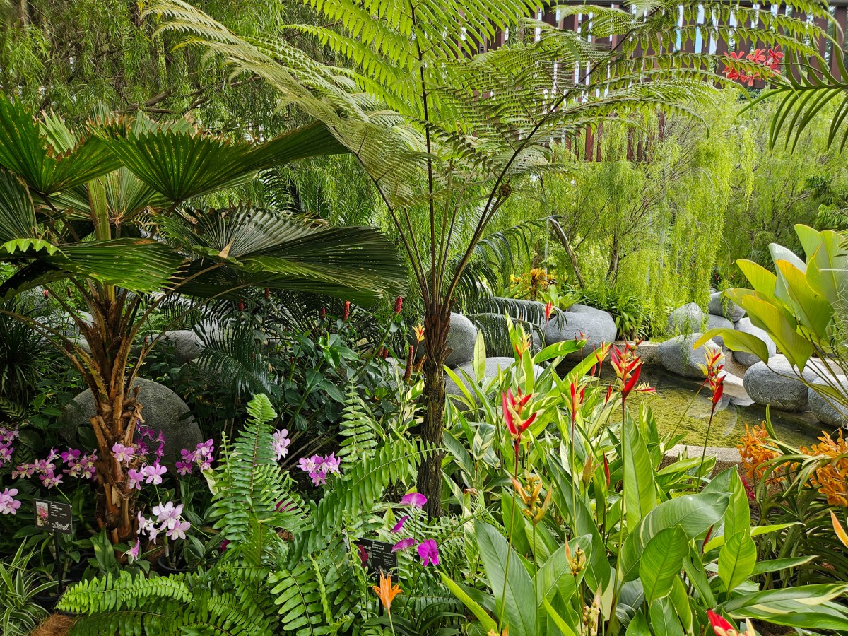 Exploring Perdana Botanical Gardens: A Tropical Paradise in Kuala&nbsp;Lumpur