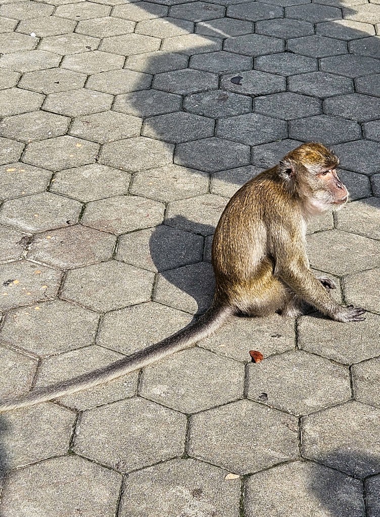 Batu Caves, Kuala Lumpur