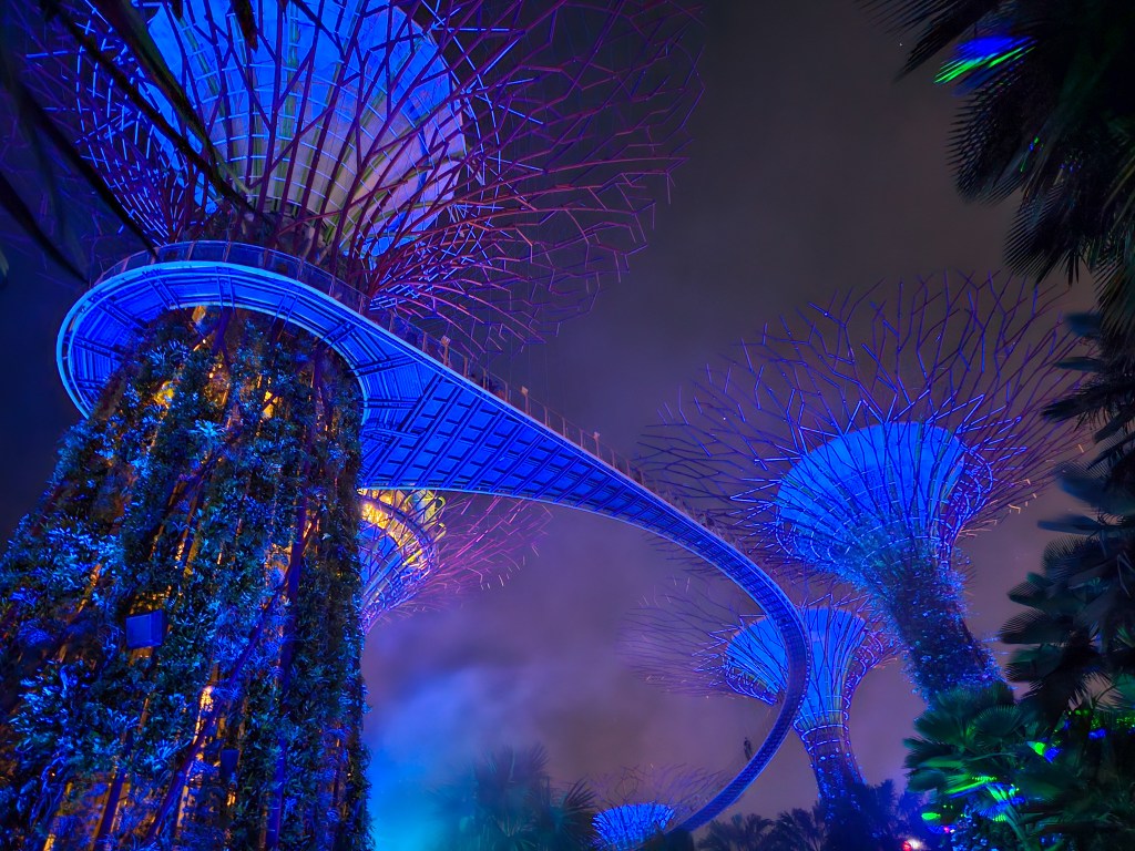 Supertree Grove Light Show