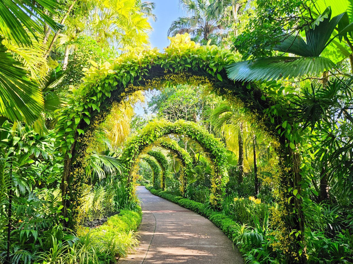 A Visitor Guide to Singapore Botanic&nbsp;Gardens