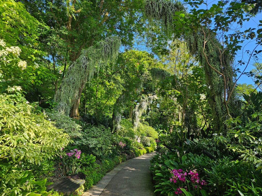 Singapore National Orchid Garden