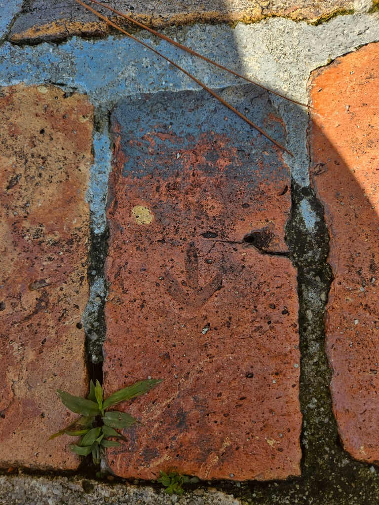 Singapore Botanic Gardens