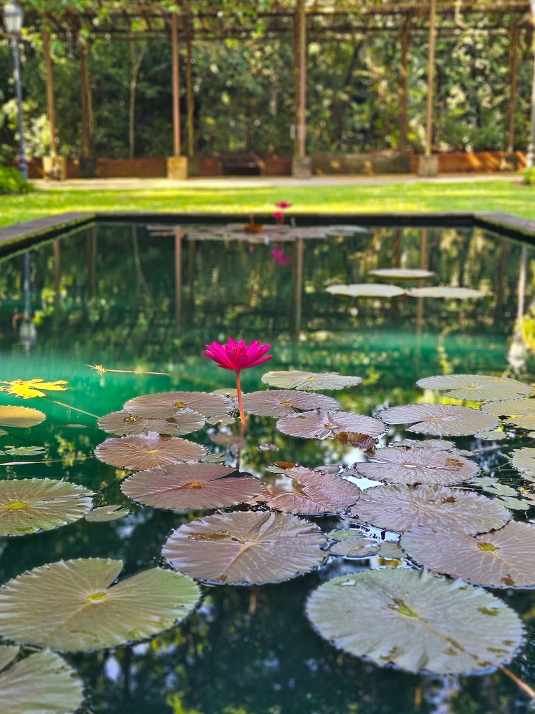 Singapore Botanic Gardens