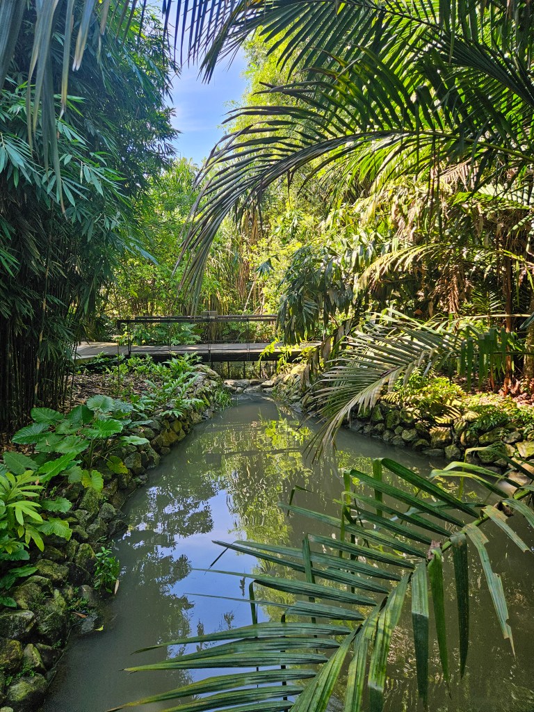 Singapore Botanic Gardens