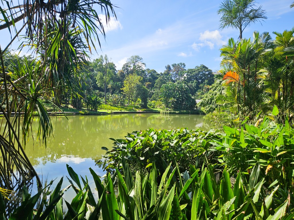 Singapore Botanic Gardens