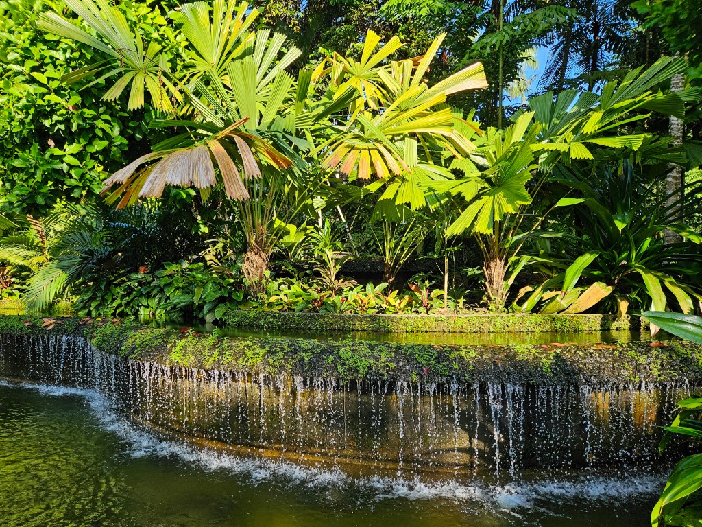 Singapore Botanic Gardens