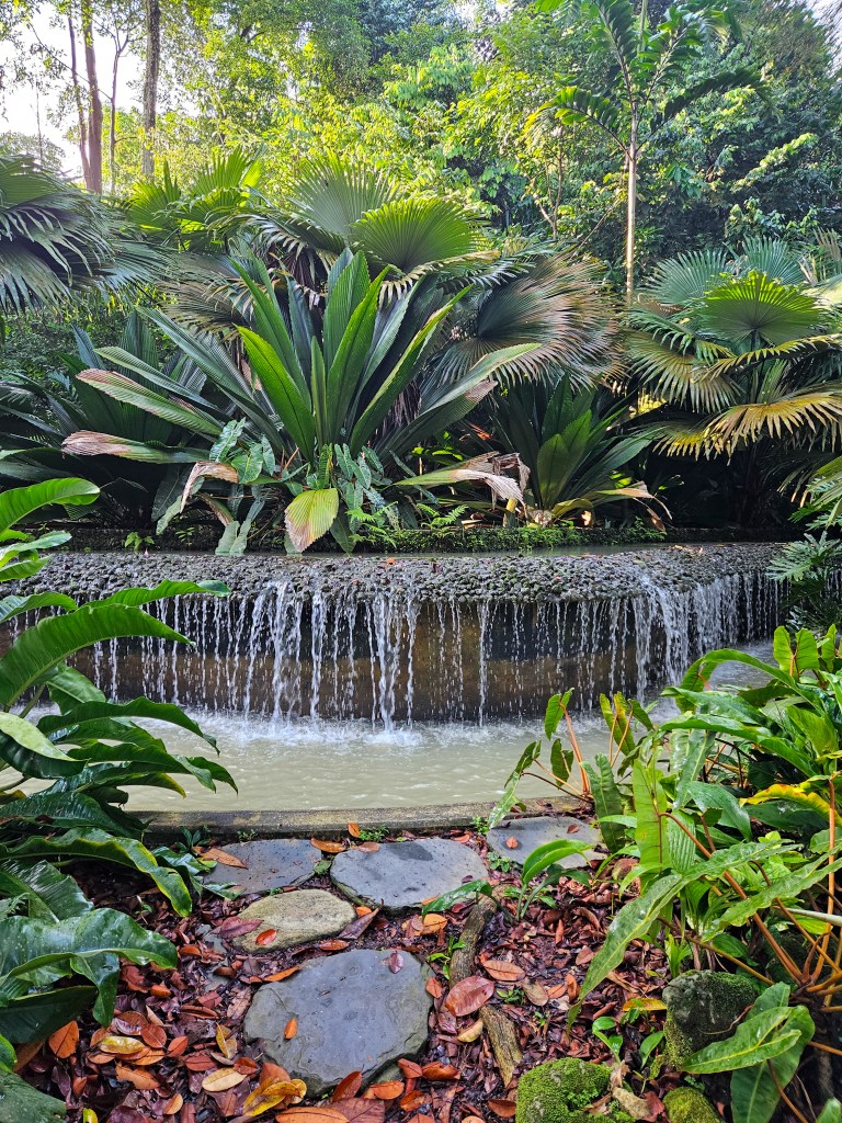 Singapore Botanic Gardens