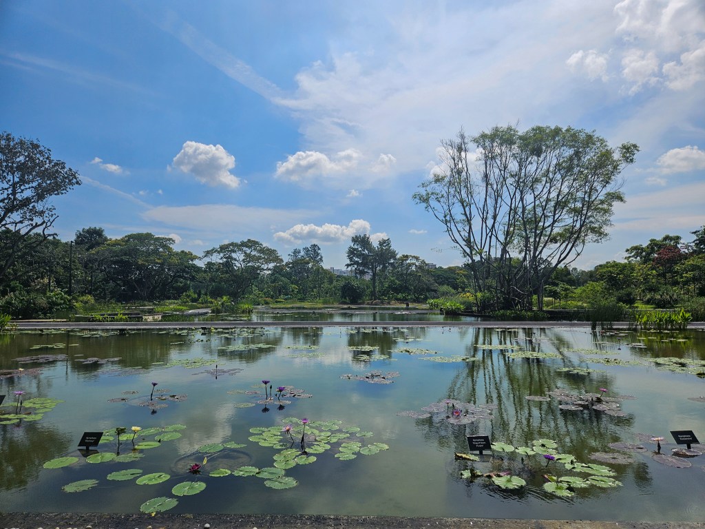 Jurong Lake Gardens