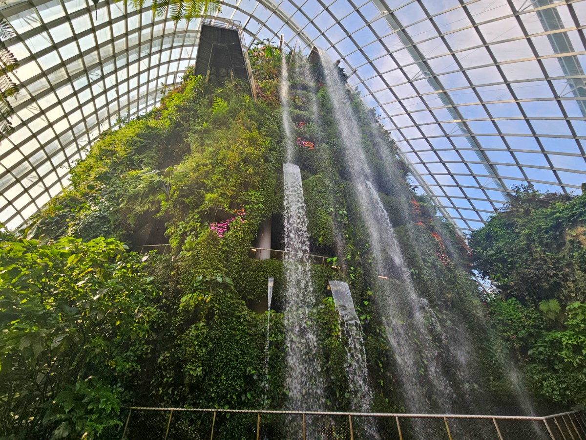 A Guide to Gardens by the Bay,&nbsp;Singapore
