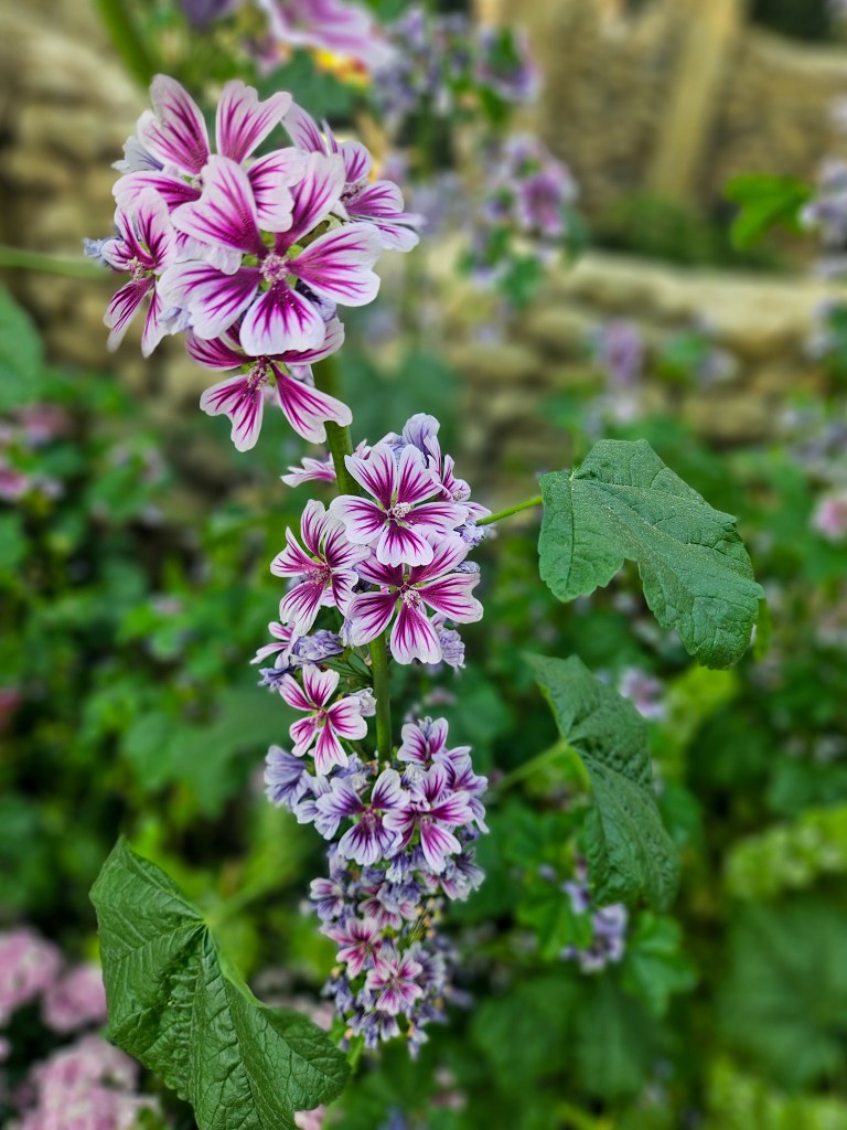 Flower Dome gardens by the bay