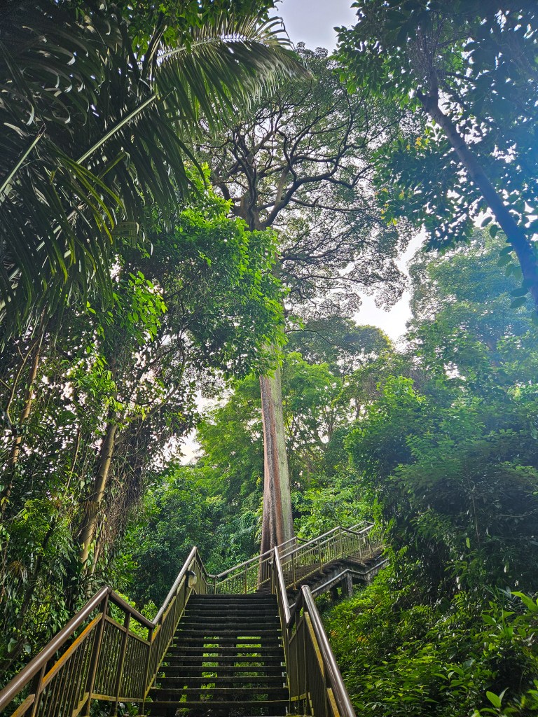 Marang Trail Singapore