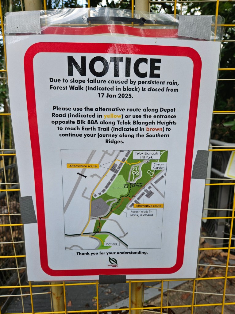 Forest Walk Singapore