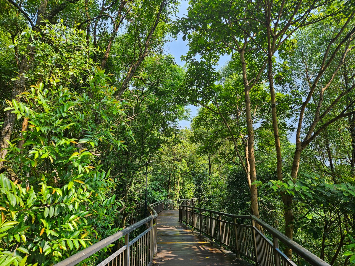 Mount Faber & The Southern Ridges: A Wonderful Walk in&nbsp;Singapore