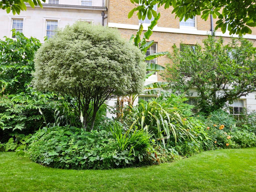 London Open Gardens
