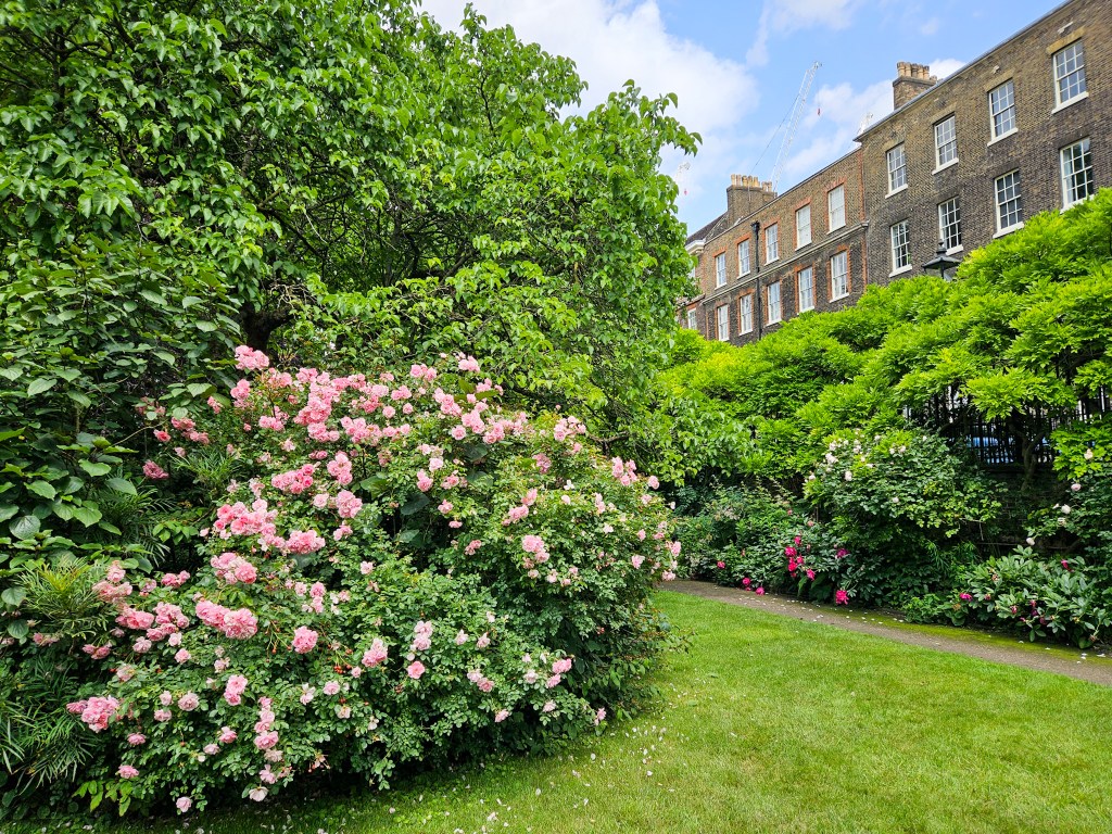 London Open Gardens