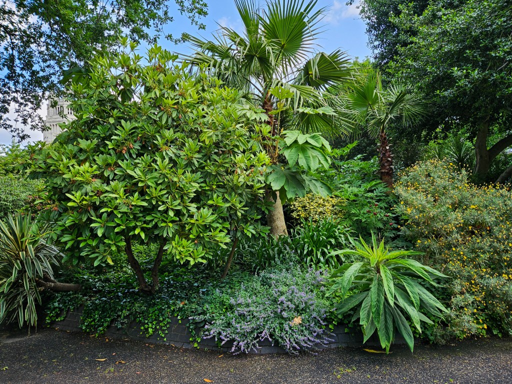 London Open Gardens