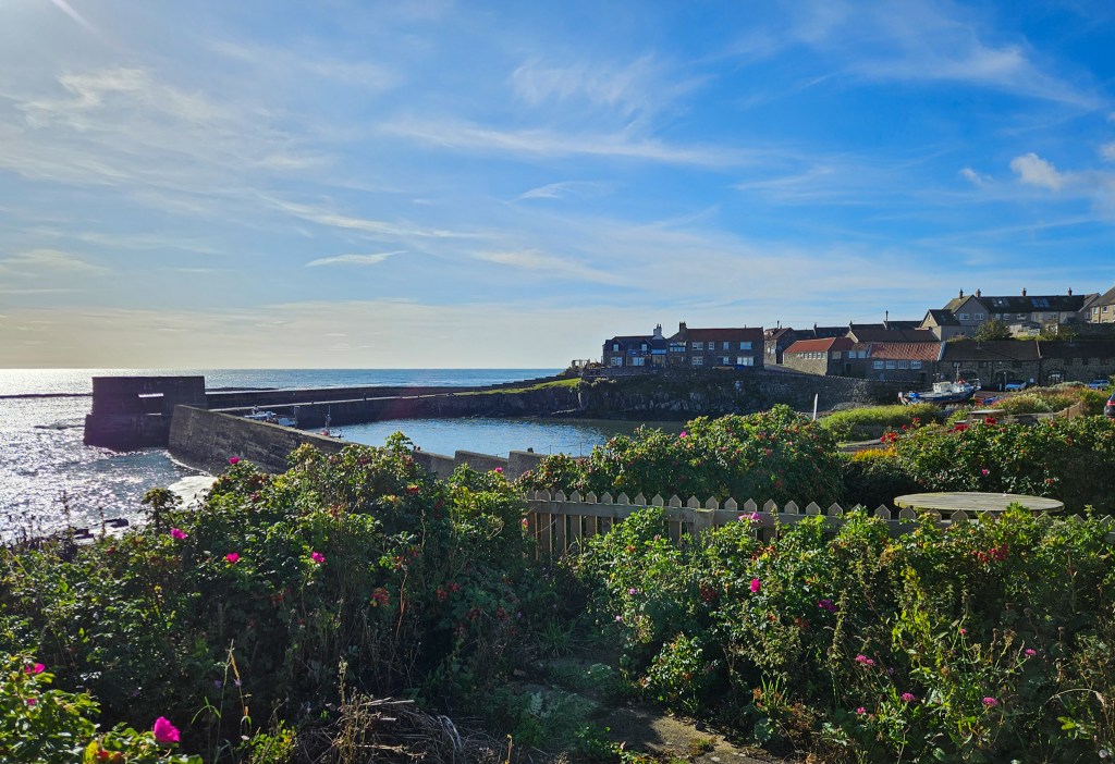 Craster Harbour