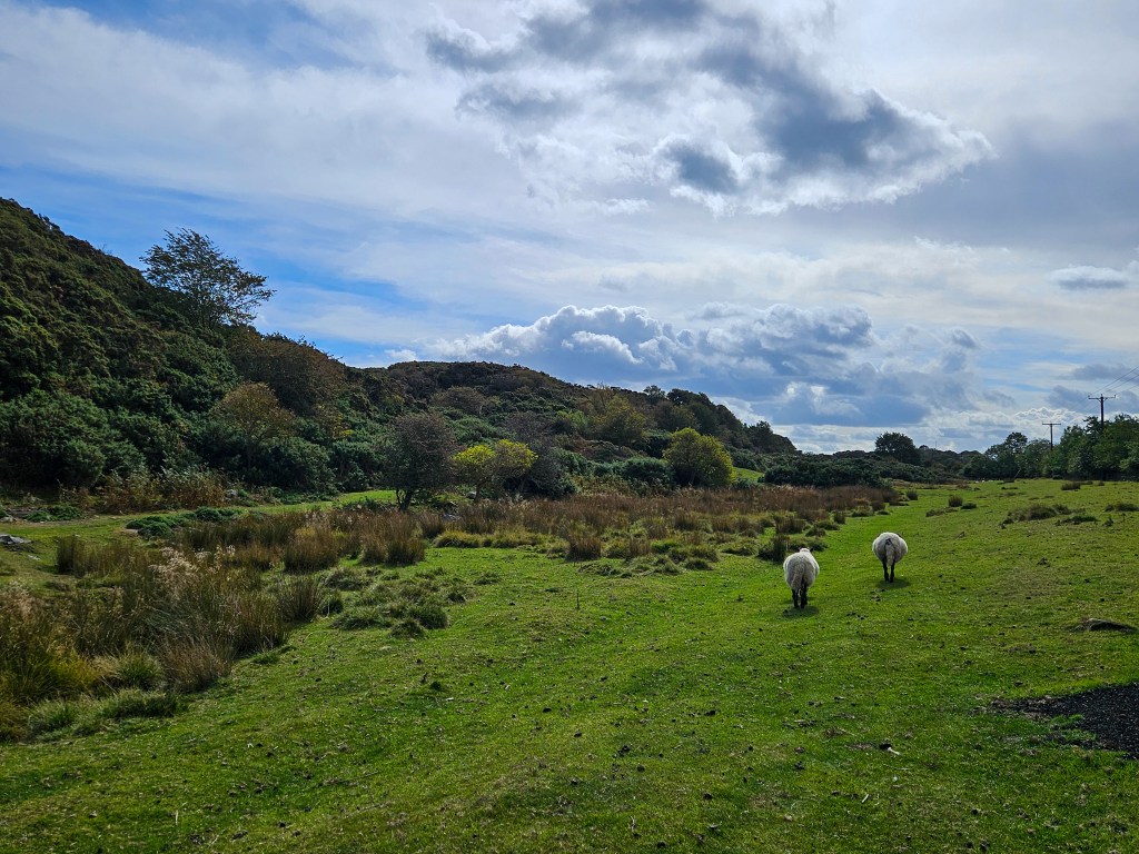 Dunstanburgh to Craster
