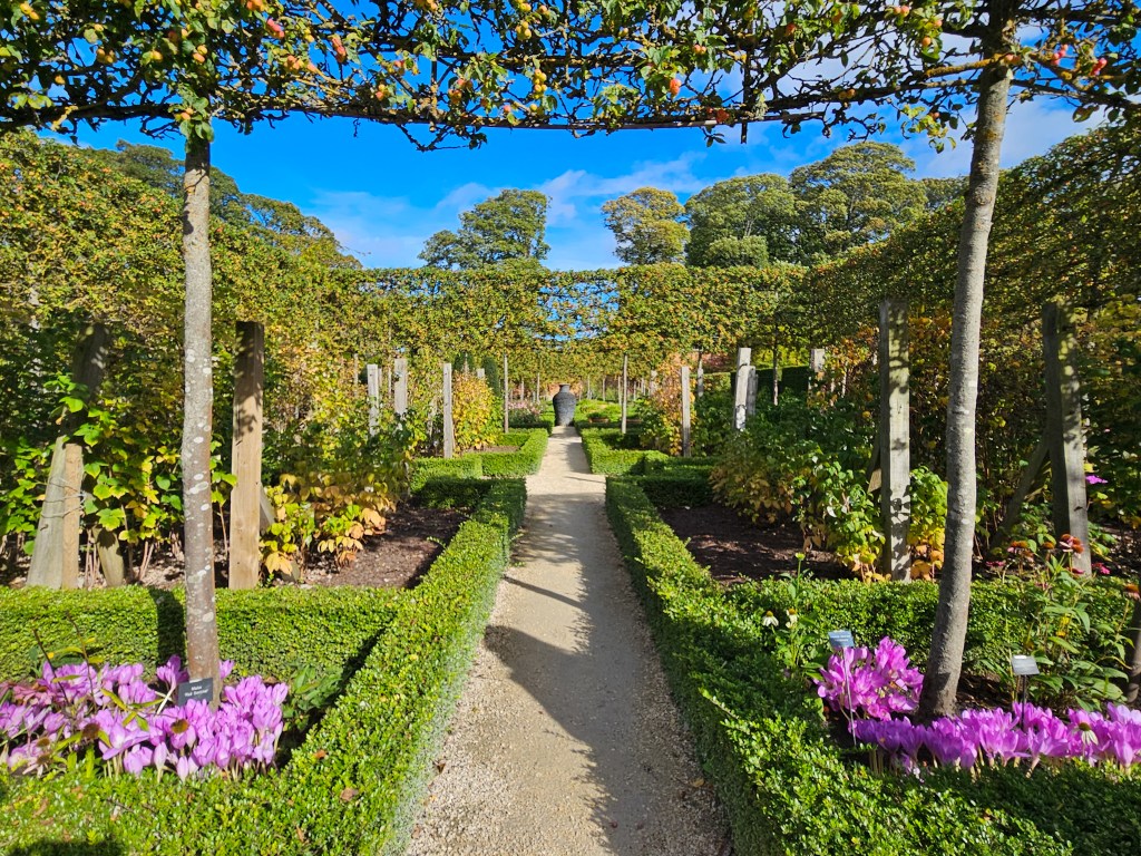 Alnwick Garden