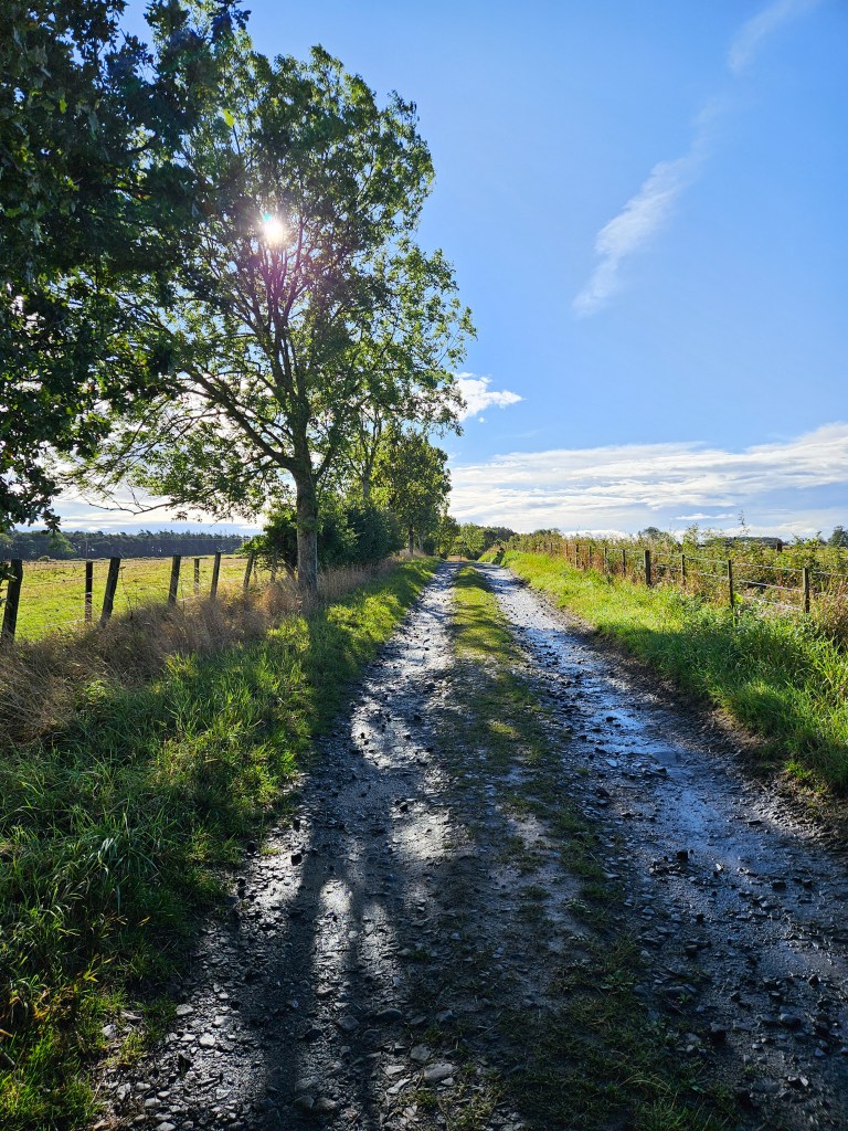 Brunton House and Cottages