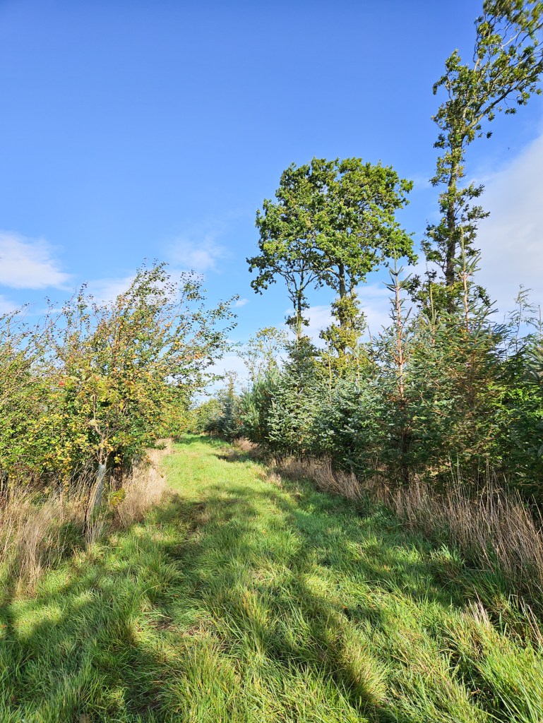 Brunton House and Cottages