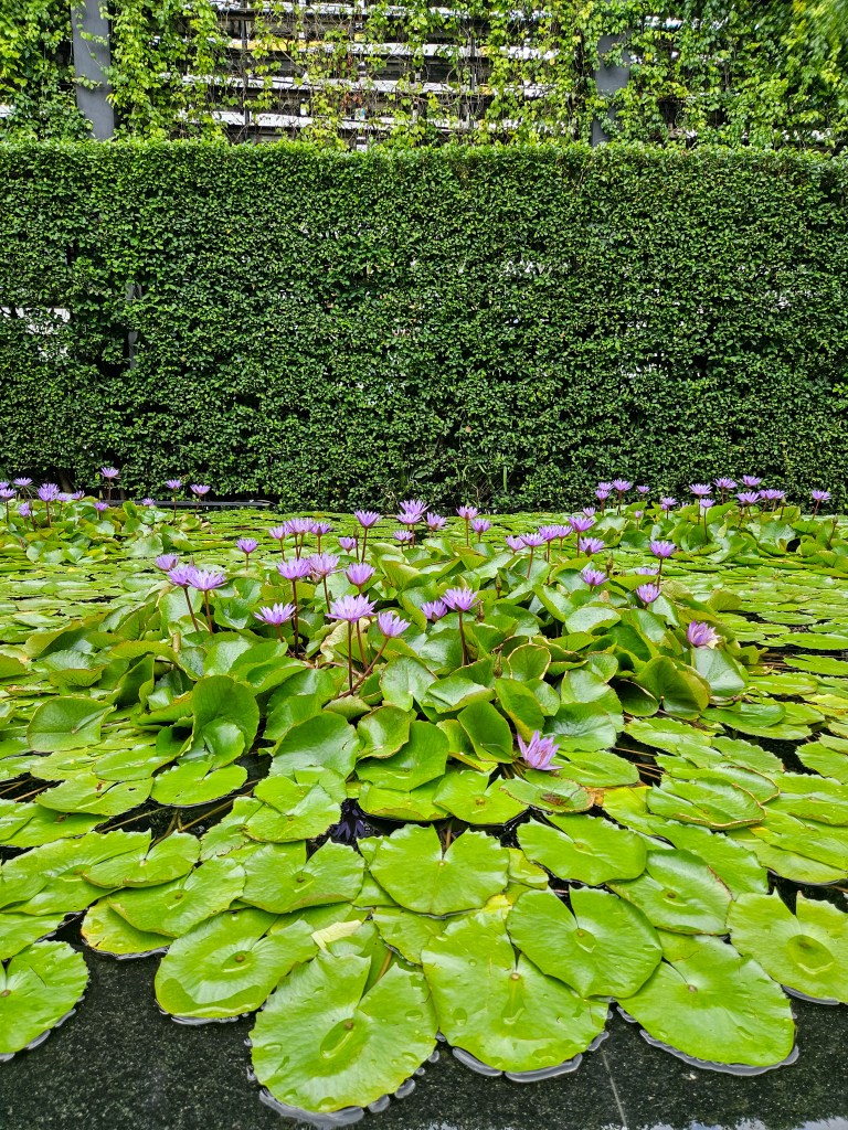 Millennium Hilton Bangkok