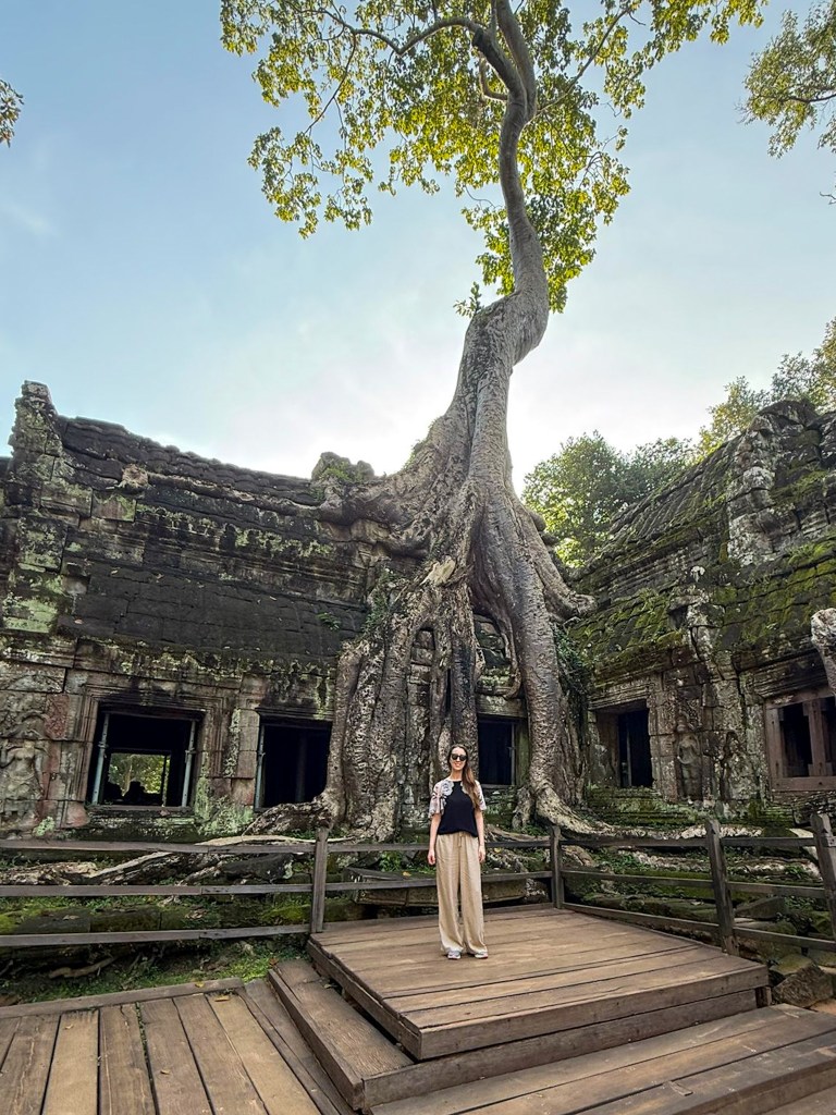 Ta Prohm, Angkor