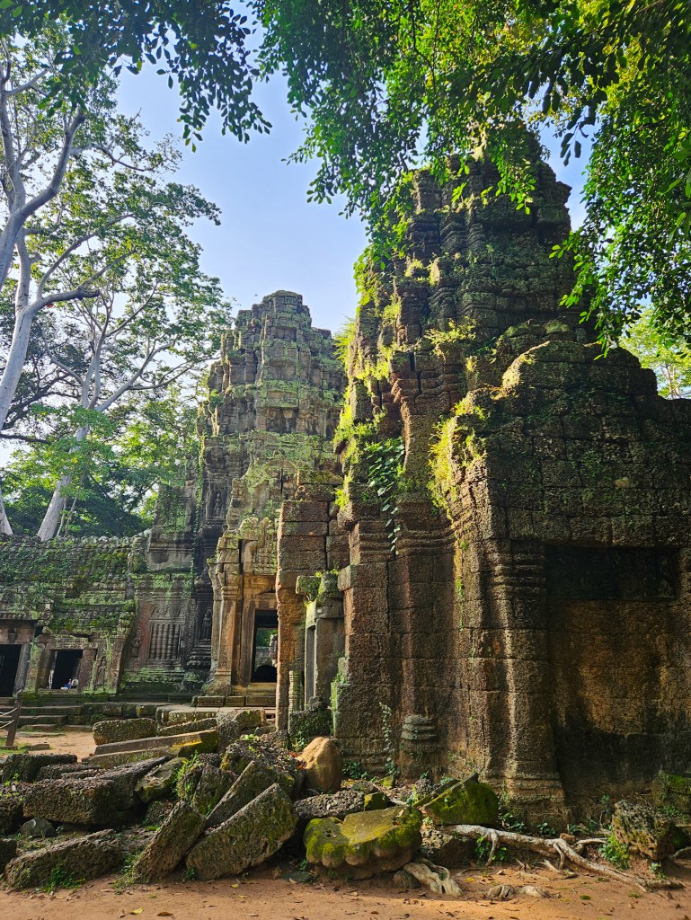Ta Prohm, Angkor