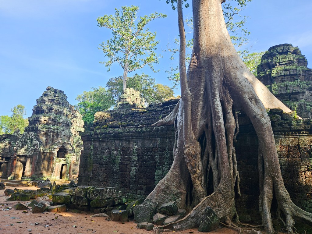 Ta Prohm