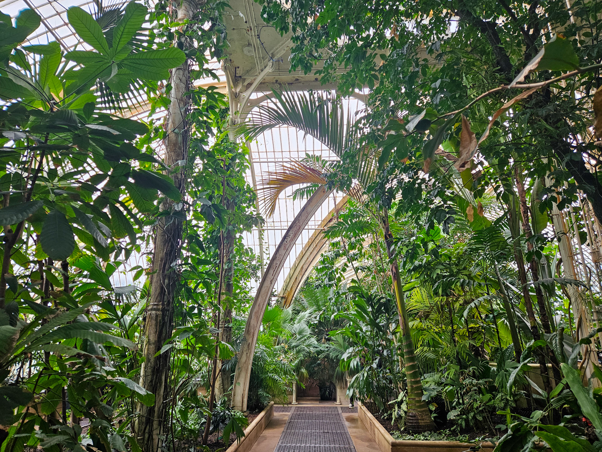 Kew Gardens, London: A Visitor Guide